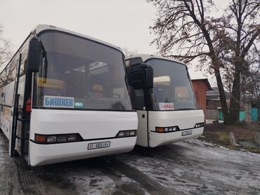 Трансфер, пассажирские перевозки: Каракол, Кашка-Суу, Кордай КПП Бус, Автобус | 55 мест