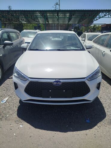 опель вектора с: BYD Е2 2020 года в хорошем состоянии белого цвета на кожаном салоне
