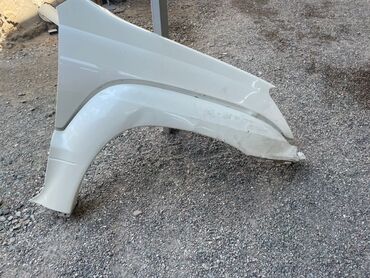 runx alex: Канат Алдыңкы оң Lexus, 2008 г., Колдонулган, Аналог