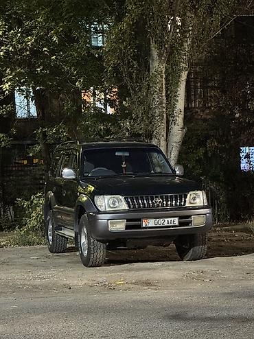 krone sd: Toyota Land Cruiser Prado: 2001 г., 3 л, Механика, Дизель, Внедорожник — 3