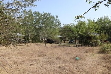 Torpaq sahələrinin satışı: 2000 sot, Tikinti, Mülkiyyətçi, Kupça (Çıxarış), Bələdiyyə -da lalafo.az — 22 Torpaq sahələrinin satışı: 2000 sot, Tikinti, Mülkiyyətçi, Kupça (Çıxarış), Bələdiyyə — 22