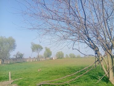 Həyət evləri və villaların satışı: 4 otaqlı, 60 kv. m, Kredit yoxdur, Orta təmir — 18