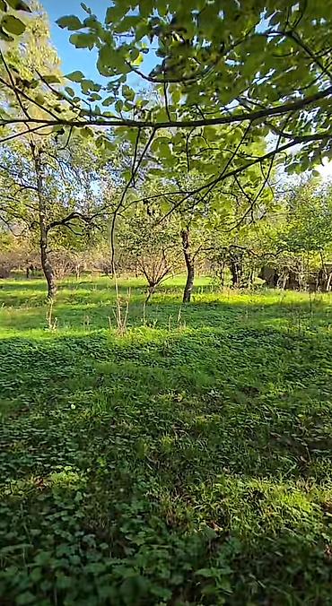 sekide torpaq satilir: 27 sot, Tikinti, Mülkiyyətçi, Kupça (Çıxarış) — 3