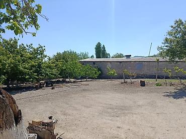 gunluk bağ evləri bakı: Siyəzən, 12000 kv. m, 3 otaqlı, Kanalizasiya, Qaz, Su — 4