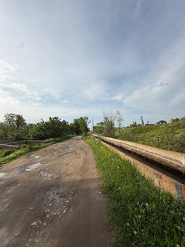 рабоч городок: 12 соток, Для сельского хозяйства, Договор дарения — 2