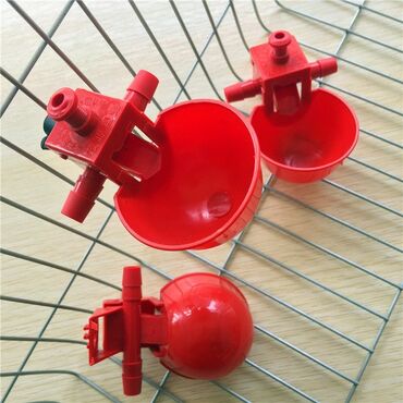 корейские куры: Автоматическая чашка-поилка для кур, птиц. с кольцом, диспенсер для