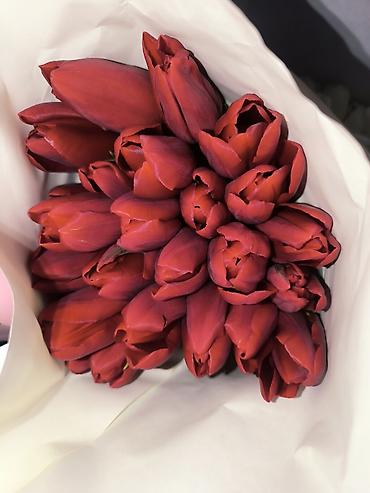 Букеты из живых цветов: Розы и тюльпаны к 8 Марта - Срезанные свежие розы в ассортименте — 14