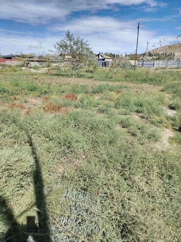 Torpaq sahələrinin satışı: 30 sot, Kənd təsərrüfatı, Mülkiyyətçi, Bələdiyyə — 12