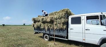 вагон бу купить: Грузовик, Mercedes-Benz, Дубль, 5 т, Б/у — 3