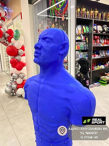 Другое для спорта и отдыха: Бойцовская груша «Герман»!!! Полностью литая груша, для сильных — 10