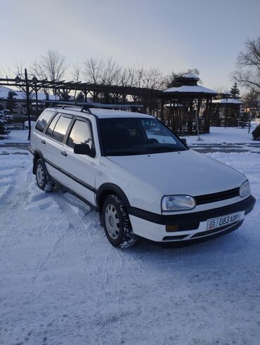 Volkswagen: Volkswagen Golf: 1993 г., 1.8 л, Механика, Бензин, Универсал