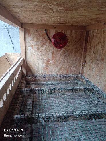 Товары и оборудование для с/х животных: Брудер/клетка для молодняка птицы - Материал: каркас и стены из OSB — 7