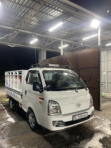 корейский внедорожник: Легкий грузовик, Hyundai, Стандарт, 3 т, Новый — 3