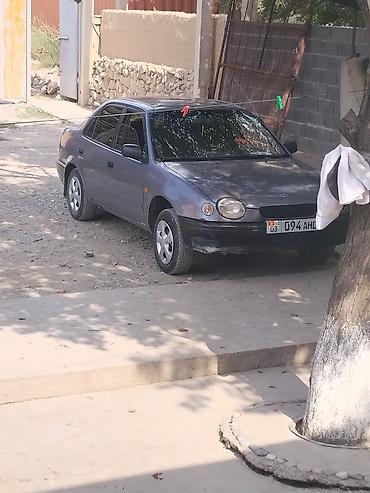 ноускат камри 70: Toyota Corolla: 1999 г., 1.6 л, Механика, Бензин, Седан — 5