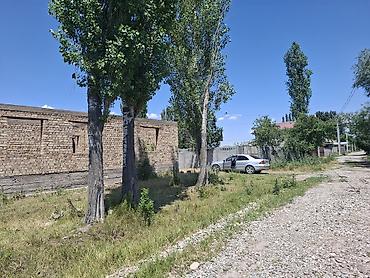 комната ак ордо: 10 соток, Курулуш, Кызыл китеп — 3