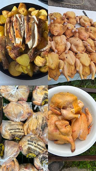 тушки кур: Домашние куры-бройлеры, потрошёные, подготовленные к приготовлению. - — 1
