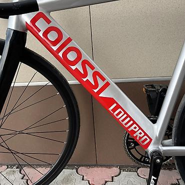 Городские велосипеды: Colossi Fixed Gear (фикс) 🚲🔥 Colossi — это бренд, известный своими — 9