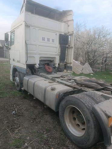Тягачи: Тягач, DAF, 2008 г., Без прицепа — 9
