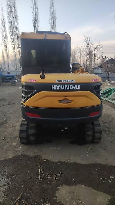 Коммерческий транспорт: Экскаватор, Hyundai, 2019 г., Гусеничный — 4