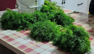 Продажа участков: 10 соток — 9