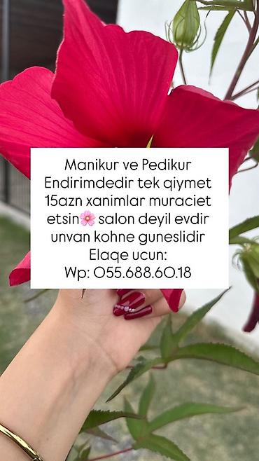 Manikür və pedikür xidməti - Xüsusi endirim: hər biri üçün tək qiymət lalafo.az -da Manikür və pedikür xidməti - Xüsusi endirim: hər biri üçün tək qiymət