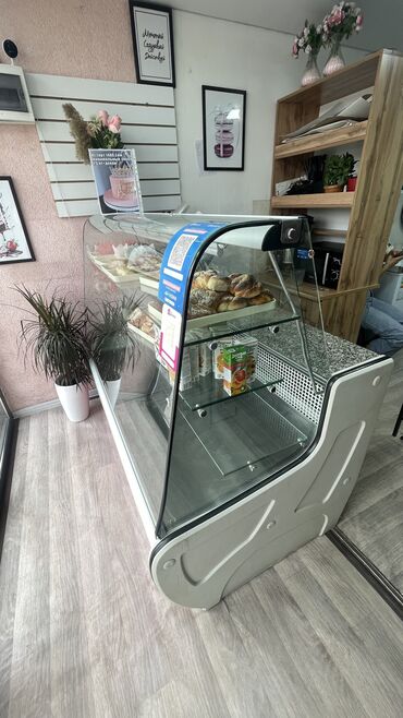 холодильник для мороженого маленький: Для напитков, Для молочных продуктов, Для мяса, мясных изделий, Б/у