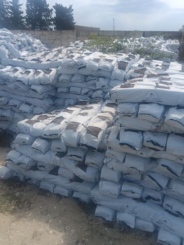 Toxumlar: Qazonlasdrma catrlma qurasdrma dekarativ bitgiler guler das torpaq — 10