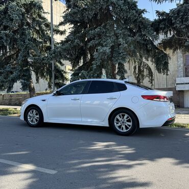 руль для скутера: Kia Optima: 2018 г., 2.4 л, Типтроник, Бензин, Седан