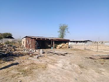 Сдаю Сарай, 20 голов, 5 соток