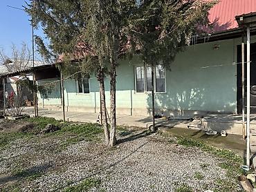 Продажа дач: Продаю дом с красной книгой и со всеми документами придомовой — 13