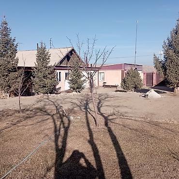 Продажа участков: 25 соток — 10