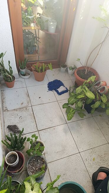 Duş kabinaları, arakəsmələr: Arakəsmə, Düzbucaqlı — 8