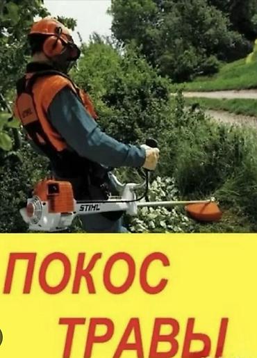 ош токалки: Уборка территории, Стрижка газона — 1