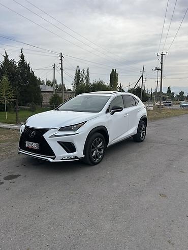 Lexus: Lexus NX: 2020 г., 2 л, Автомат, Бензин, Кроссовер — 4