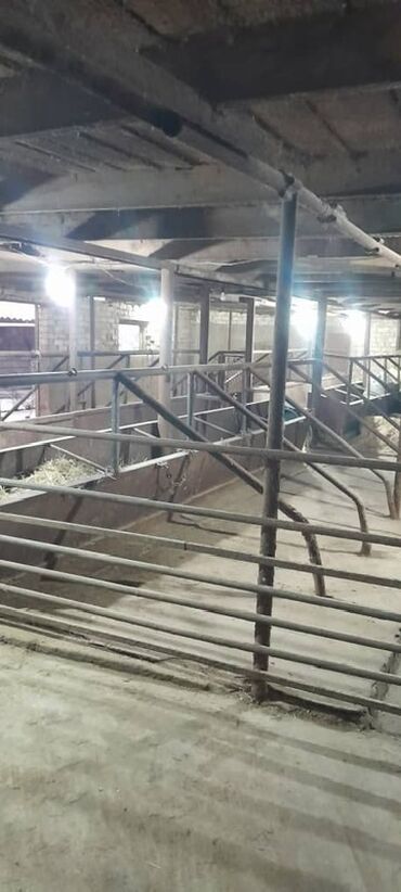 Продажа домов: Дом, 150 м², 5 комнат, Собственник, Евроремонт — 16