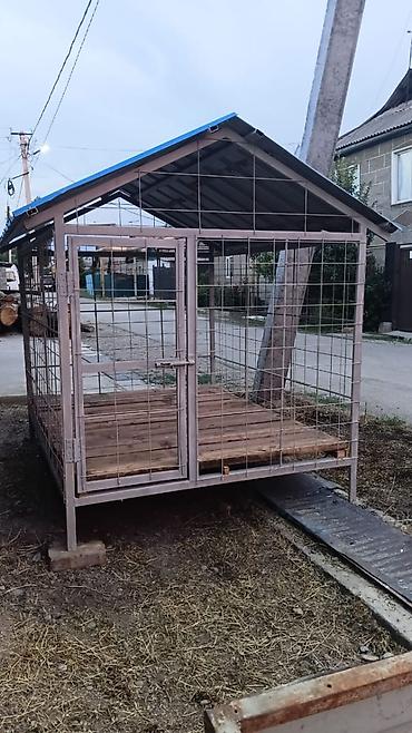 с поролон: Вольер для собаки с крышей - Просторный уличный вольер из — 1