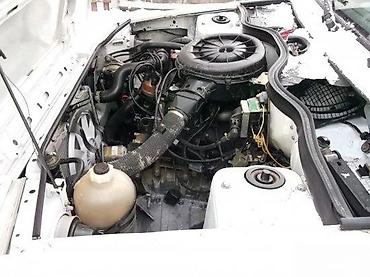 Stakla za auto: STAKLA ZA RENO 5 | Zvati od 8-22h i nedeljom. Za tri i pet vrata — 3