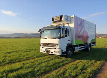 Грузовики: Грузовик, Mercedes-Benz, Б/у — 1