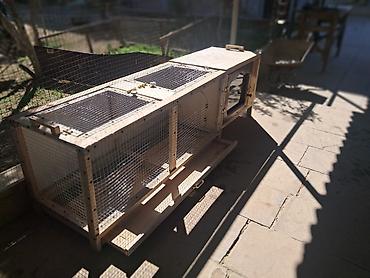 akvarium xırda balığı: Tecili qefes satilir 2 ededdi balaca qefes 30 manata boyuk qefes — 1