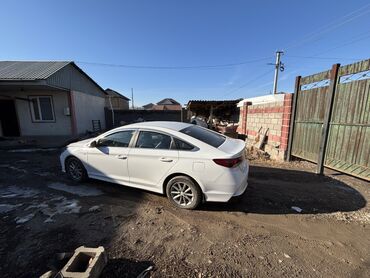 Hyundai: Hyundai Sonata: 2018 г., 2 л, Автомат, Газ, Седан — 5