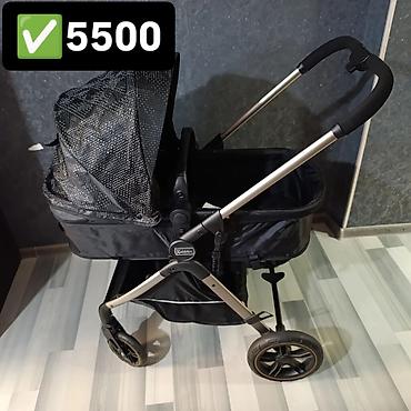 Коляски: Коляски — 1