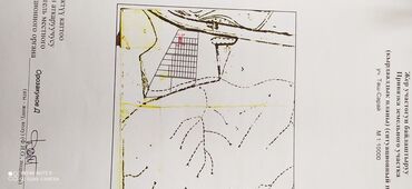 Продажа участков: 4 соток, Красная книга — 3