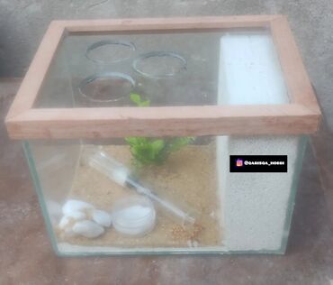 Heyvanlar üçün digər mallar: Hər ölçüdə hər dizaynda qarışqa yuvaları yığılır səliqəli və təmiz — 27