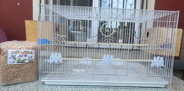 İtlər: Bu, quşlar üçün nəzərdə tutulmuş ağ rəngli metal qəfəsdir. Qəfəs iki