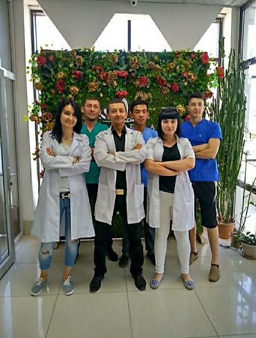 студентов: Курсы массажа | Классический массаж, Лечебный массаж Выдается сертификат — 5
