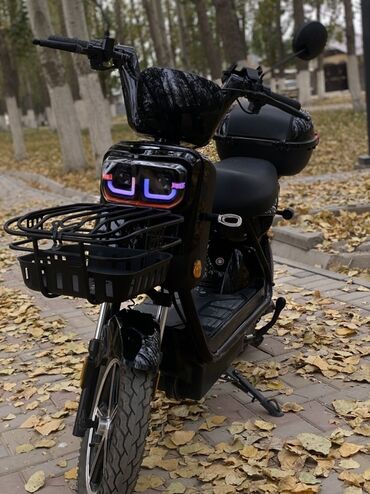 багажник скутера: Электрический скутер/мопед городского типа. Основные особенности: -