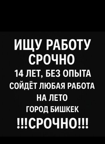 подработка в бишкеке без опыта для школьников: Другие специальности
