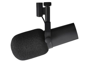 ip камеры 11.7 с микрофоном: Микрофон Shure SM7B с динамическим капсюлем. Черный цвет и