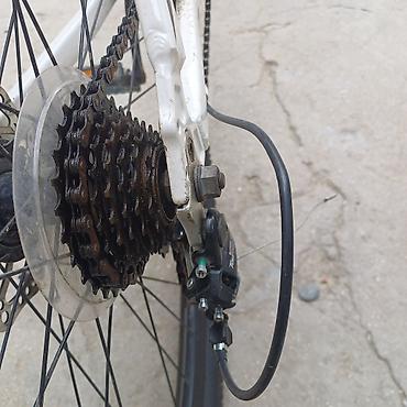 Şəhər velosipedləri: ZIGZAG şəhər/trek velosipedi - Rəng: ağ-qara (ZIGZAG loqosu) - — 5
