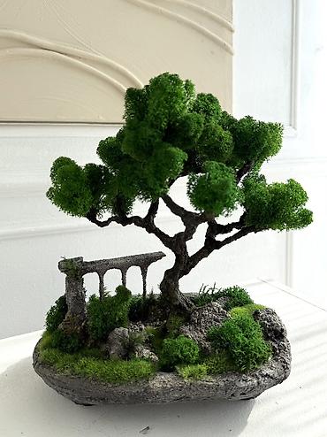 Другой декор и предметы интерьера: Декоративное дерево бонсай, выполненное из стабилизированного мха — 53